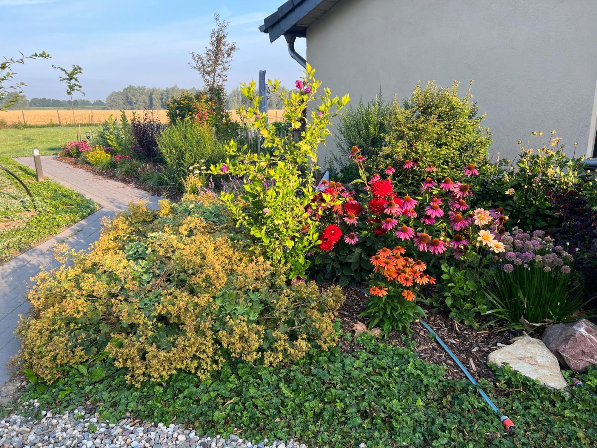 Koenigsgut Emmericher Eyland Kalkar Exterior foto